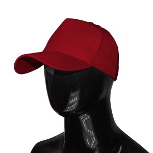 Striker Classic 5 Panel Cap