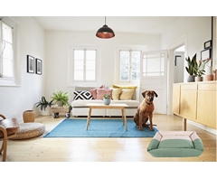 Two-Tone Dog Lounger - Image 7